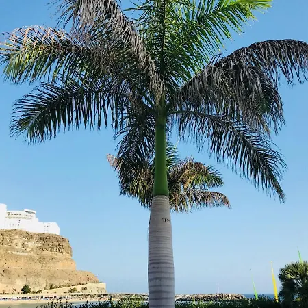 The Pearl Of The Ocean Puerto Rico (Gran Canaria)